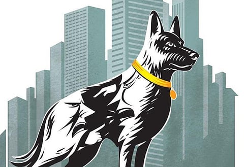 Express Illustration