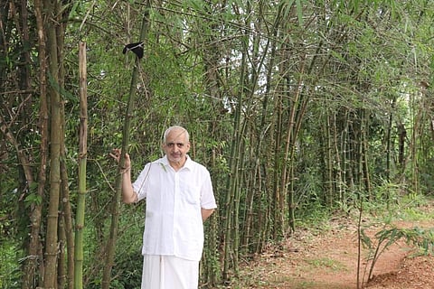 Inside the bamboo forest in Saigramam