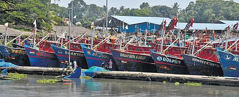 Fishing vessels docked at Thoppumpady harbour. They will return to sea only after the trawling ban is lifted |  Albin Mathew