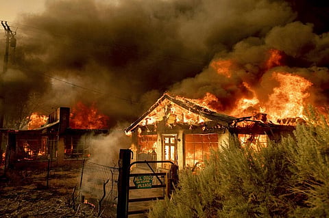 Fire consumes homes as the Sugar Fire, part of the Beckwourth Complex Fire, tears through Doyle, California. (Photo | AP)