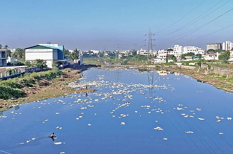The polluted Cooum river near Madhuravoyal in Chennai. (File photo | Shiba prasad sahu)