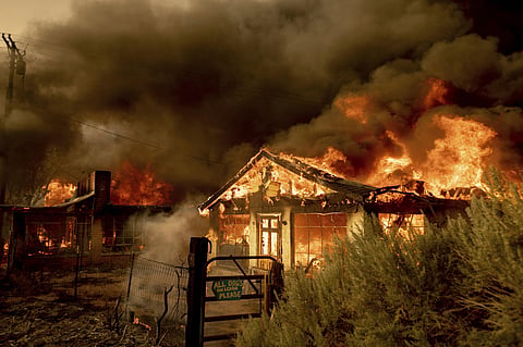 The Beckwourth Complex, California's largest wildfire this year, set alight portions of the Plumas National Forest on July 8, 2021, and spread beyond state lines over to neighbouring states. It continues to burn across 83,926 acres of land, destroying at 