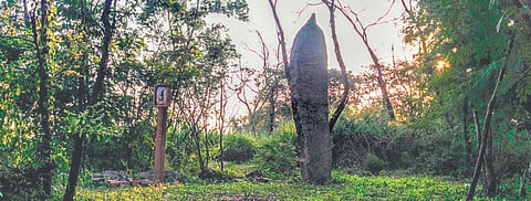 The 20-tonne granite Menhir at the University of Hyderabad’s South Campus. It is the oldest megalithic site in the country