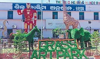 The grass art park at Govt ITI, Berhampur
