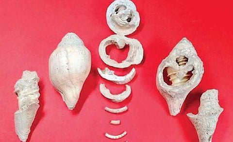 Perforated pipes found at ancient Korkai site