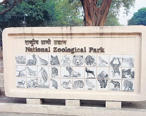 The zoo will operate in two shifts — from 8 am to noon and 1 pm to 5 pm
