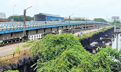 The old Venduruthy Bridge which awaits repairs is filled with creepers and bushes | A Sanesh