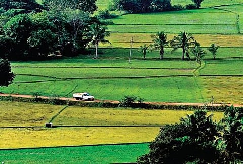 Representational Image (File Photo | Express)