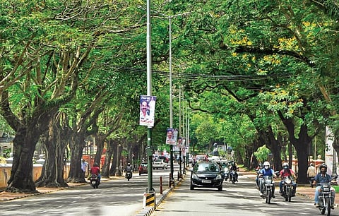 The Museum - Vellayambalam road that is part of the Smart Road project and maintained by the Kerala Road Fund Board | B P Deepu
