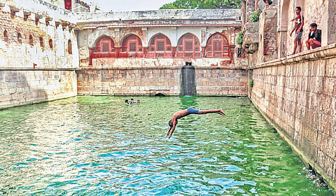 A boy jumps into the water of a baoli at Dargah Hazrat Nizamuddin to beat the heat in New Delhi on Wednesday  | pti