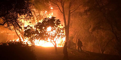 Thousands evacuated as 'fierce' wildfire spreads  in southern France's Saint-Tropez