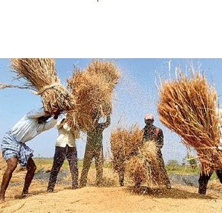 Rice and rice-based preparations are the staple food of a majority of people in India. (Representational Photo)