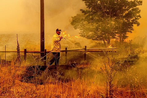 A man douses flames as the Dixie Fire burns south of Janesville in Lassen County, California. (Photo | AP)