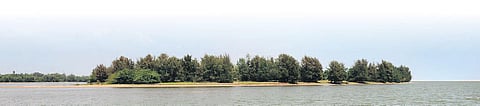 An island on Kaliveli backwaters. (Photo | Debadatta Mallick, EPS)