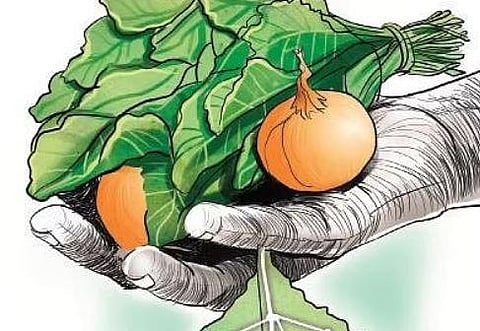 Kerala govt to promote homestead farming to lure tourists
