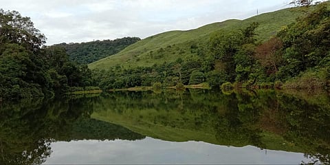 A view of the river under the Konni-Adavi-Gavi tour package. (Photo| EPS)