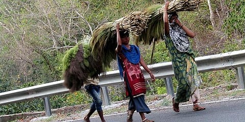 Tribal women (PTI file image used for representatoin