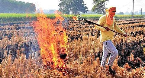 Stubble burning in Punjab and Haryana is expected to start around September 20 which mostly goes up to November end. 