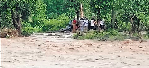 The call has to be made within 72 hours of the crop damage faced by a farmer. (Representational Photo)