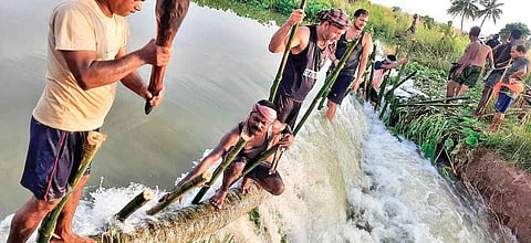 Villagers trying to repair the breach at Anakhia village under Sompur panchayat of Erasama block in Jagatsinghpur district
