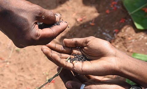 Image used for representational purposes (Photo | BP Deepu, EPS)