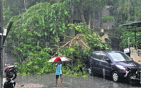 Gopalapatnam and several other places in Visakhapatnam on Monday. (Photo | G Satyanarayana)
