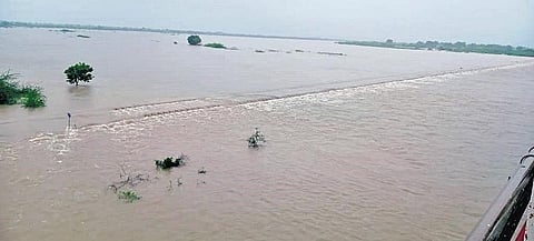SRSP backwaters.