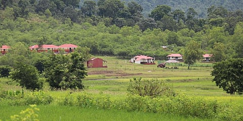 Similipal Wildlife Sanctuary (Photo | EPS)