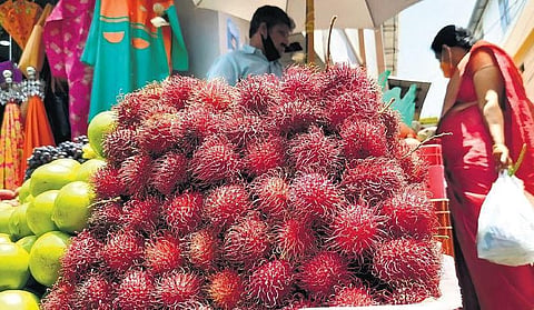 File - A fruit vendor selling rambutan at Chalai in Thiruvananthapuram. (Photo | EPS, B P Deepu)