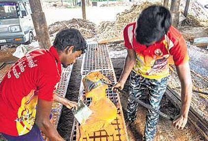 Jaggery being manufactured in Noyyal and Velayuthamapalayam | Express