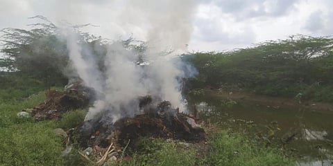 The panchayat dumping garbage and burning it in Marudaiyaru river's banks in Perambalur district. (Photo| EPS)
