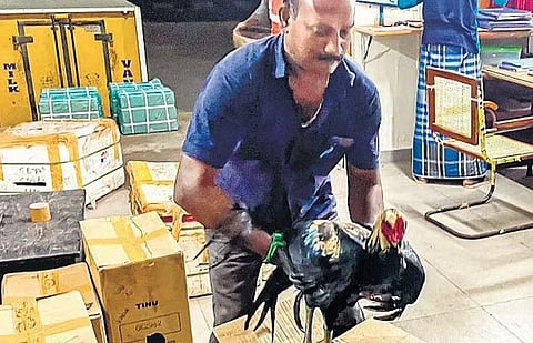 The roosters are sent by parcel from Karur to Andhra Pradesh via Chennai 
