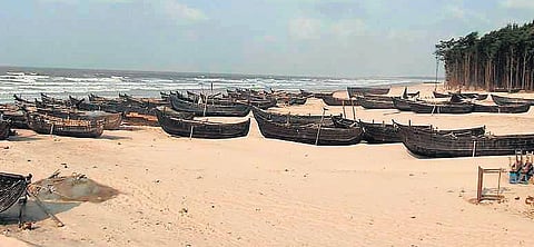 Odisha coast (Representational Image | EPS)