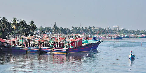 Representational Image (Photo| Albin Mathew, EPS)