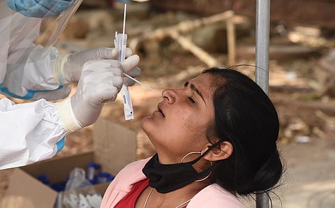 A health worker collects swab sample for Covid test. ( File Photo | Nagaraja Gadekal, EPS)