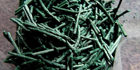 Spirulina