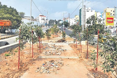 GHMC officials are now focused on developing a wide central median along the Film Nagar-Kotha Cheruvu (Jubilee Hills circle) stretch  | S Senbagapandiyan