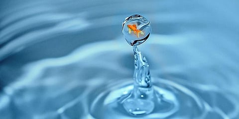 Representational image