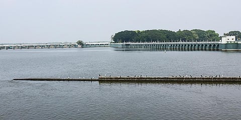 Cauvery river (File photo| EPS)