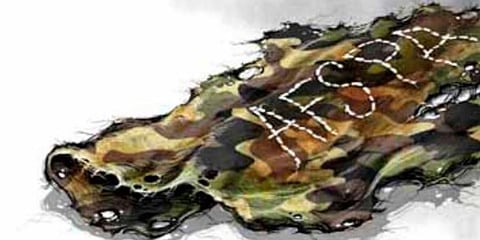 Image used for representational purposes only. (Soumyadip Sinha | Express Illustrations)