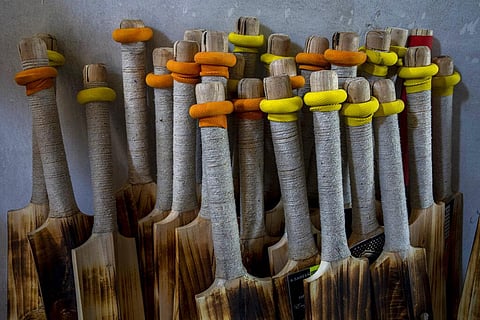 Kashmir’s dwindling willow plantations are impacting the region’s famed cricket bat industry and risking the supply of cricket bats in India, where the sport is hugely followed. The industry employs more than 10,000 people and manufactures nearly a million bats a year. Most are sold to Indian tourists, while the rest are exported to Indian cities and other countries. (Photo | AP)