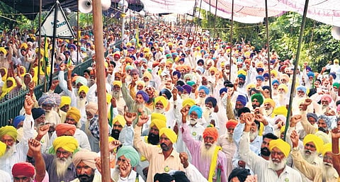 Image used for representational purpose only. (File Photo)