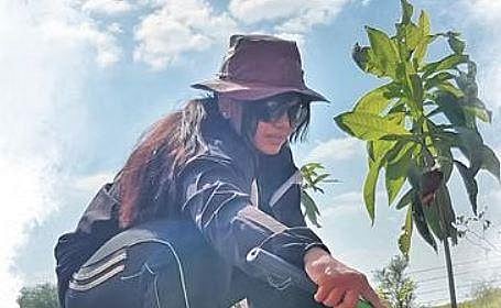 Bengaluru couple’s dream of creating food forest blooming as ‘Vrukshavanam’