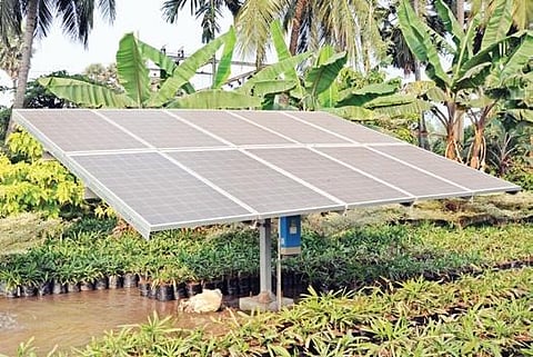 Rs 39 lakh solar unit generates 53% electricity for Guntur Collectorate