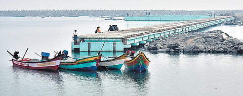 The NGT has allowed the State fisheries department to undertake project work in onshore area | P Jawahar