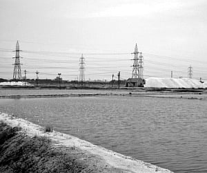 Inage used for representational purpose. The salt pans in Thoothukudi. (File photo | EPS)