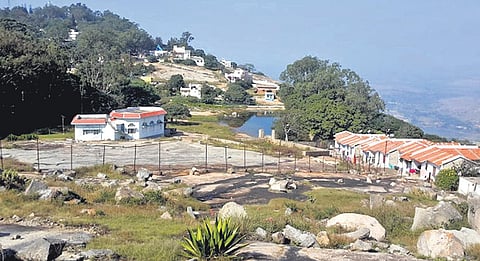 Horsley Hills