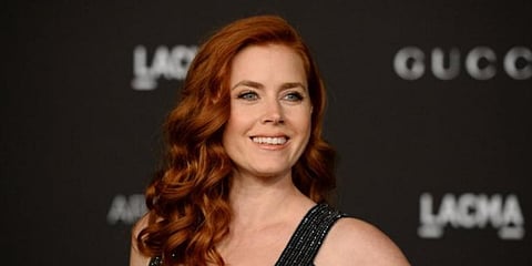 Hollywood actress Amy Adams (File photo |  AP)