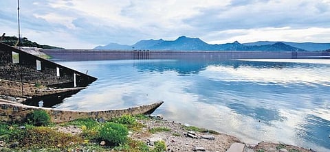 Create more waterbodies to meet growing need: Farmers