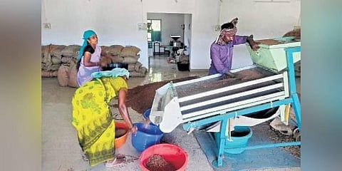 Farmers working in a millet-processing unit in Nannai village in Perambalur,Tamil Nadu | Express